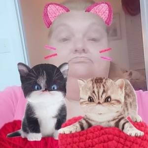 Meet your Posher, Penny